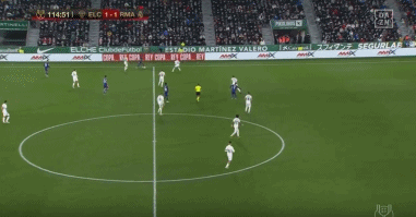 维罗纳vs帕尔马：加利亚尔迪尼、焦瓦内首发，库特罗内、马特奥-佩莱格里诺出战